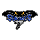 Hull Stingrays