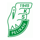 Pelikan Lowicz