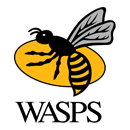 Wasps