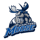 Manitoba Moose