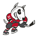 Niagara IceDogs