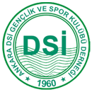 Ankara DSI