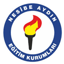 Nesibe Aydinspor (K)