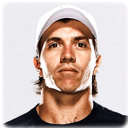 Carlos Berlocq