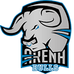 Arena Bulls