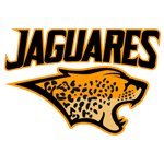 Jaguares