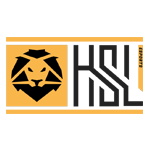 HSL Esports