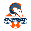 Cimarrones de Sonora