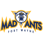 Fort Wayne Mad Ants