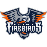 Firebirds de Flint