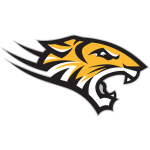  Towson Tigers (Ž)